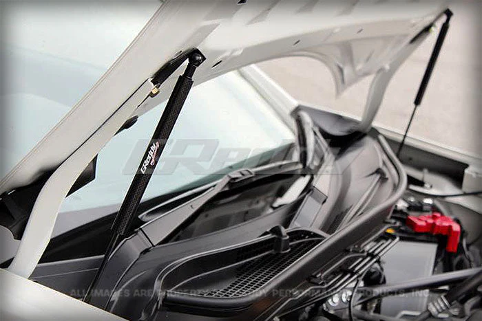 GReddy Carbon Hood Damper(s) - Image 5